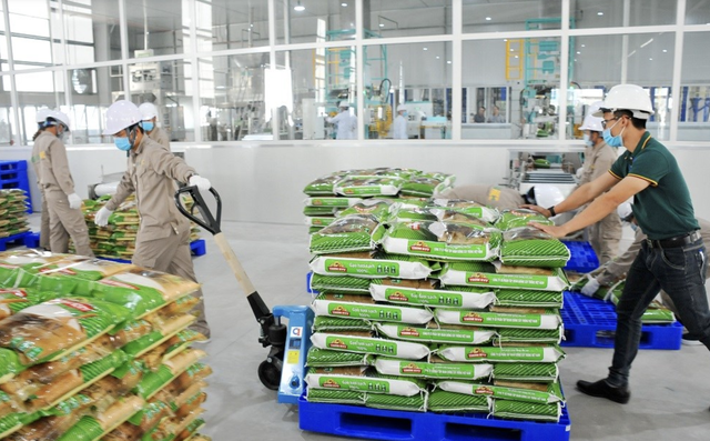 Doanh thu quý II/2026 của Vinaseed giảm gần 28%, hàng tồn kho vượt 1.000 tỷ đồng - Ảnh 1.