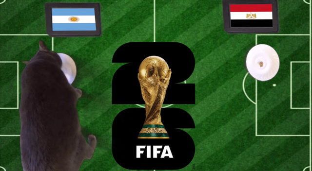 Mèo "tiên tri" dự đoán kết quả trận Argentina vs Ai Cập: Bản lĩnh nhà vô địch - Ảnh 1.