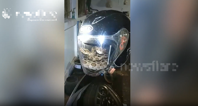 Tan ca trong đêm, người đàn ông giật mình trước cảnh tượng "lạnh sống lưng" trên xe máy- Ảnh 1.