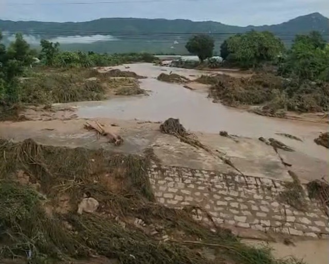 Khởi tố gi&aacute;m đốc c&ocirc;ng ty Trang Trại Việt Phong Ph&uacute; sau vụ vỡ hồ chứa nước- Ảnh 1.
