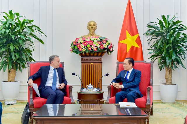 Bộ trưởng Ngoại giao Lê Hoài Trung tiếp Tổng Thư ký Bộ châu Âu và Ngoại giao Pháp - Ảnh 2.