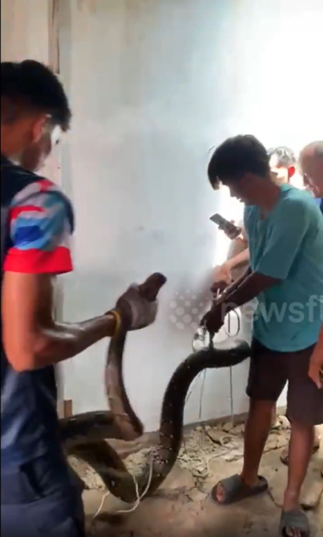 Nền nhà bất ngờ "cử động", người dân phát hiện cảnh tượng "đáng sợ", dân làng ùn ùn kéo đến xem - Ảnh 1.