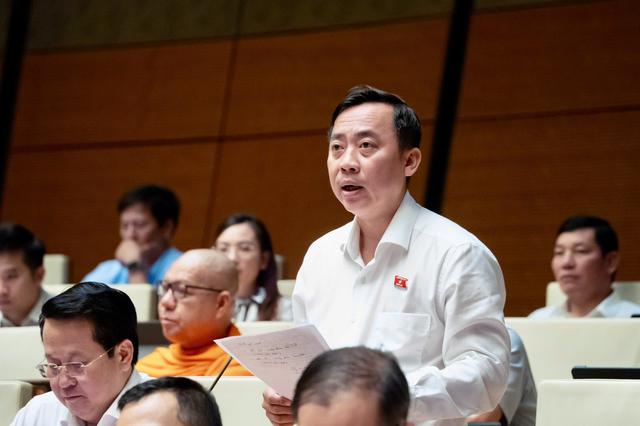 Lao động Việt phạm pháp ở nước ngoài, đại biểu đề nghị áp dụng biện pháp cấm xuất cảnh - Ảnh 3.