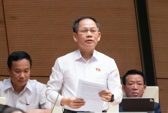 Lao động Việt phạm pháp ở nước ngoài, đại biểu đề nghị áp dụng biện pháp cấm xuất cảnh - Ảnh 1.