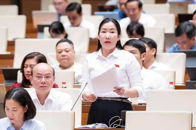 ĐBQH: Bảo đảm không bỏ lọt tội phạm, không làm oan người vô tội - Ảnh 2.