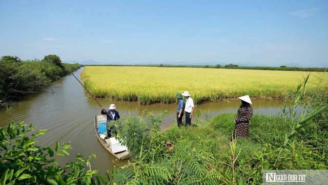 Để tôm càng xanh “vượt lũ”, người dân bất ngờ với kết quả thu được- Ảnh 1.