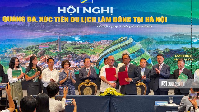 Lâm Đồng quảng bá “Biển - Hoa - Đại ngàn”, hút khách từ thị trường phía Bắc - Ảnh 1.