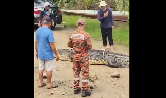 Đi bắt ốc, người phụ nữ 78 tuổi bị thứ đ&aacute;ng sợ cắn tử vong tr&ecirc;n s&ocirc;ng - Ảnh 1.
