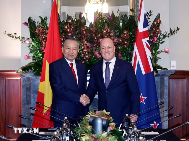Tổng Bí thư, Chủ tịch nước Tô Lâm hội đàm với Thủ tướng New Zealand - Ảnh 1.