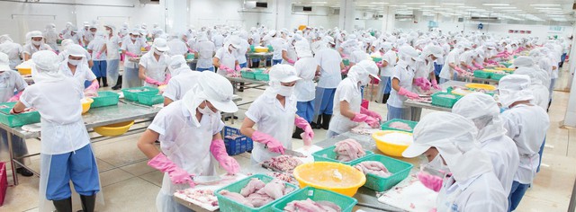Những c&uacute; bẻ l&aacute;i lợi nhuận của doanh nghiệp thủy sản trong qu&yacute; II/2026- Ảnh 1.