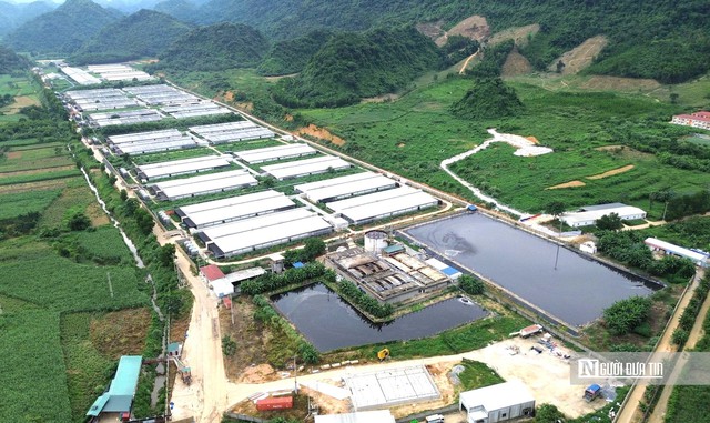 Người Đưa Tin phản ánh sông chuyển màu đen, hôi tanh 5km: Thanh Hóa giao Công an, Sở NN&MT giám sát các trại lợn- Ảnh 1.