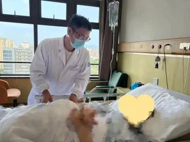 Đau bụng tưởng bệnh vặt, chàng trai 17 tuổi "sốc" khi biết sự thật- Ảnh 1.