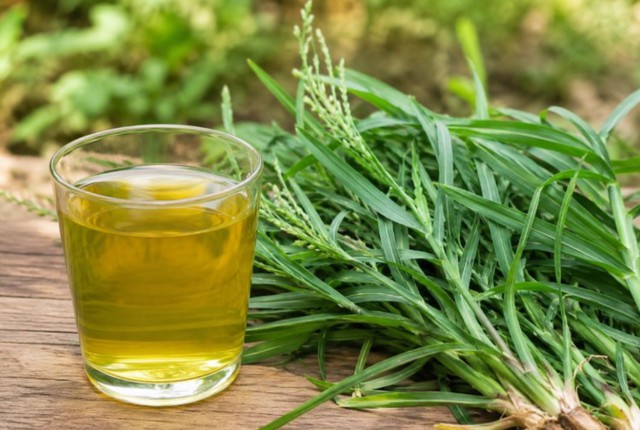 Thứ cỏ mọc dại "nhổ đi kh&ocirc;ng hết" lại l&agrave; vị thuốc qu&yacute; gi&uacute;p thanh nhiệt, m&aacute;t gan - Ảnh 1.