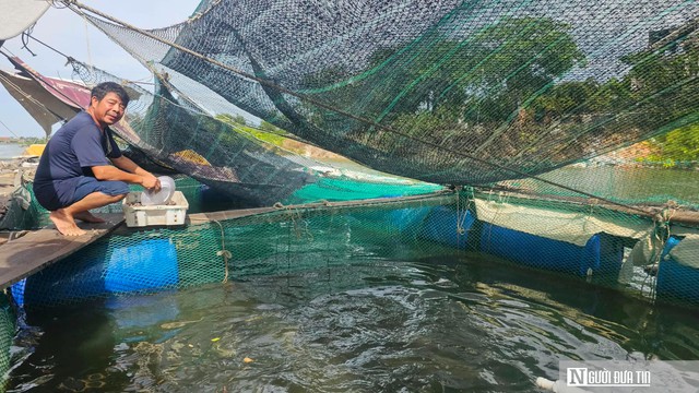 Nỗi lo đằng sau những lồng c&aacute; &ldquo;th&acirc;m canh&rdquo; bạc tỷ tr&ecirc;n s&ocirc;ng Gianh- Ảnh 1.