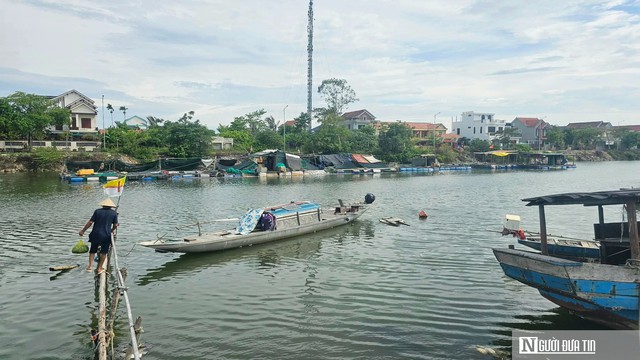 Nỗi lo đằng sau những lồng c&aacute; &ldquo;th&acirc;m canh&rdquo; bạc tỷ tr&ecirc;n s&ocirc;ng Gianh- Ảnh 2.