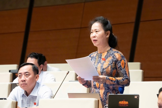 ĐBQH: Sức ép tự chủ khiến bác sĩ giỏi tìm đường lên các thành phố, mở phòng khám tư- Ảnh 2.