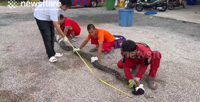 Đang cuốc ruộng, người đàn ông phát hiện cảnh tượng "nổi da gà" - Ảnh 1.