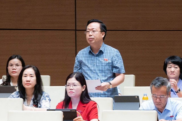 ĐBQH: Cần quy định cơ chế kiểm tra, gi&aacute;m s&aacute;t qu&aacute; tr&igrave;nh định gi&aacute; đất - Ảnh 3.
