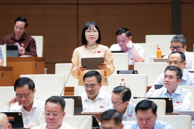 ĐBQH: Cần quy định cơ chế kiểm tra, gi&aacute;m s&aacute;t qu&aacute; tr&igrave;nh định gi&aacute; đất - Ảnh 4.
