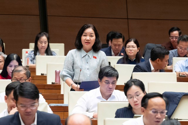 ĐBQH: Không chỉ phát triển nhà, phải tính khả năng tiếp cận và chi trả của người dân - Ảnh 1.