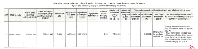 Novaland chậm thanh to&aacute;n gần 8 triệu USD l&atilde;i tr&aacute;i phiếu quốc tế- Ảnh 1.