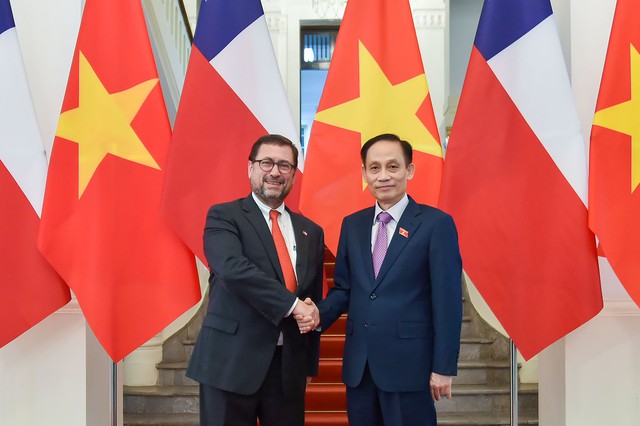 Việt Nam - Chile thúc đẩy quan hệ Đối tác toàn diện phát triển thực chất, hiệu quả hơn - Ảnh 1.
