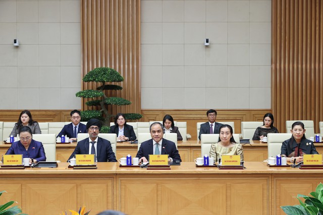 Thủ tướng Lê Minh Hưng tiếp Đại sứ, Đại biện các nước ASEAN - Ảnh 4.