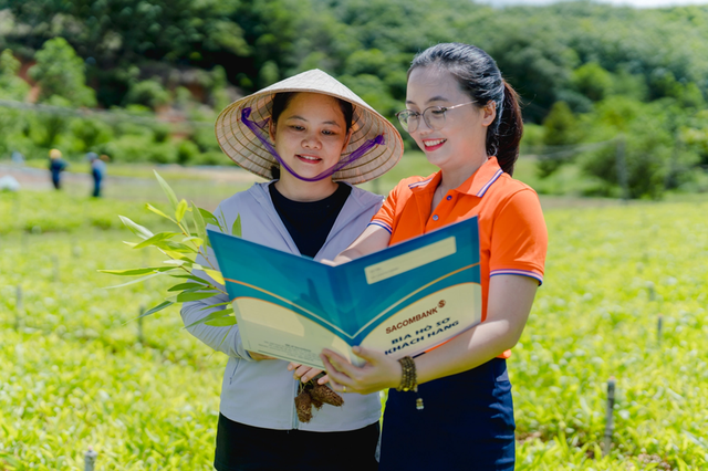 SACOMBANK lọt Top 4 ngân hàng tư nhân nộp ngân sách lớn nhất Việt Nam- Ảnh 2.