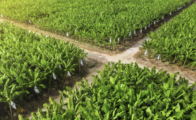 AgriS vượt kế hoạch doanh thu, tăng tốc mở rộng hệ sinh thái nông nghiệp – thực phẩm- Ảnh 2.