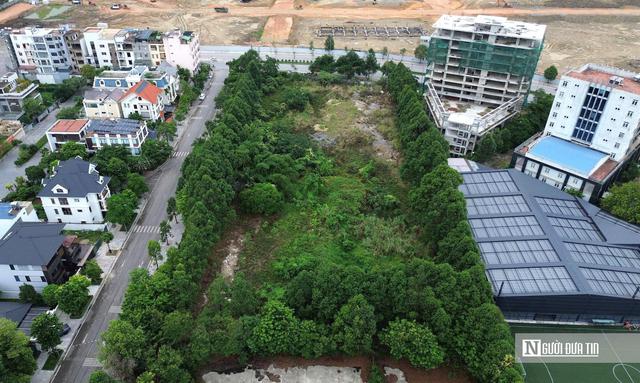 Trường liên cấp ở khu "đất vàng" 22 năm vẫn bỏ hoang do vướng thủ tục đất đai- Ảnh 3.