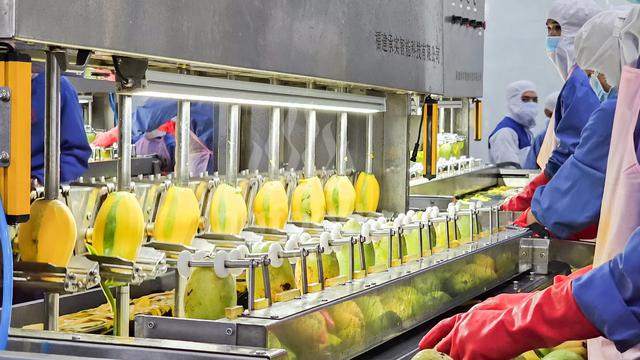 Nafoods Group lãi hơn 140 tỷ đồng sau 6 tháng, hàng tồn kho tăng hơn gấp đôi- Ảnh 1.