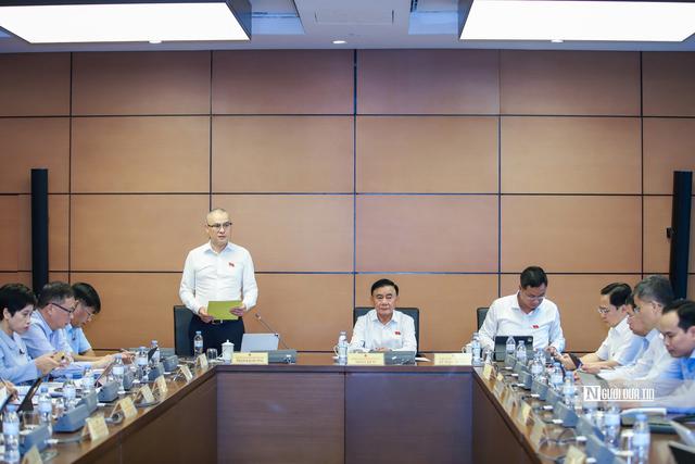 ĐBQH nêu lý do cần kiểm soát, xử lý nghiêm hành vi kinh doanh "bóng cười" - Ảnh 1.