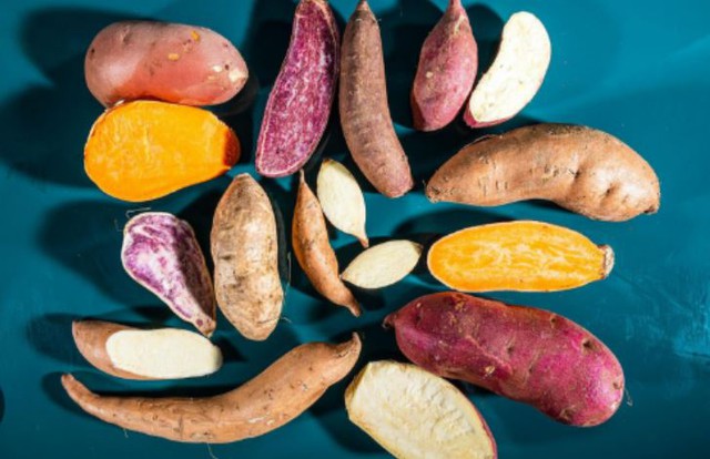 Ăn khoai lang mỗi ng&agrave;y suốt 5 th&aacute;ng, người đ&agrave;n &ocirc;ng 55 tuổi bất ngờ khi đi kh&aacute;m- Ảnh 1.