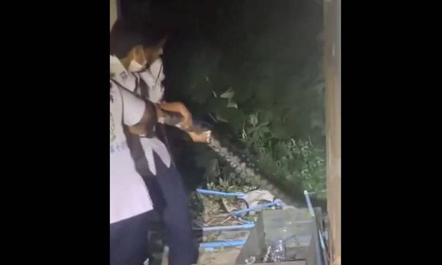 Bắt sống trăn khổng lồ dài 4,5 mét bò vào vườn nhà dân - Ảnh 1.
