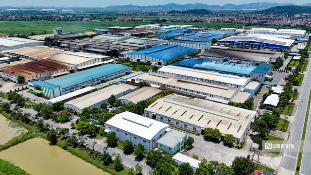 Từ tổ chim đến cánh rừng: Việt Nam đang tái định hình chiến lược thu hút FDI - Ảnh 2.