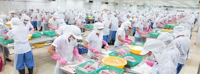 Doanh thu "bốc hơi" gần 74%, Thủy sản Mekong vẫn báo lãi gấp 3 lần cùng kỳ - Ảnh 1.