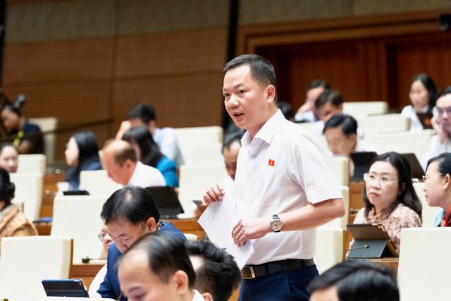 Kiến nghị đưa kim cương vào ngành nghề kinh doanh có điều kiện - Ảnh 1.