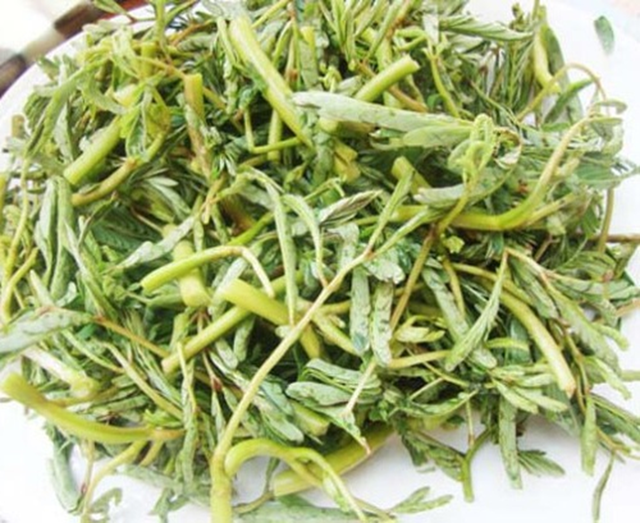 Ăn 1 nắm rau này "tốt ngang thịt", nhìn qua tưởng cỏ dại - Ảnh 3.