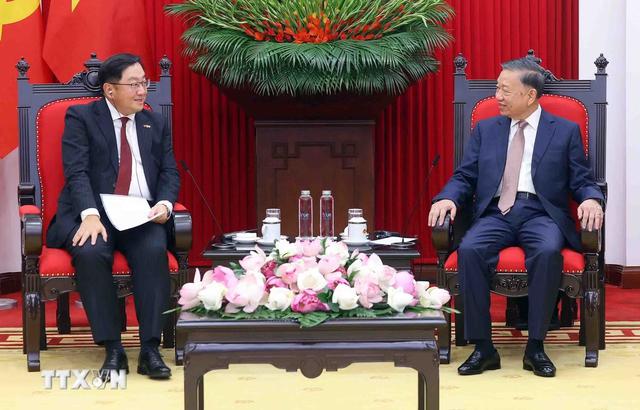 Tổng Bí thư, Chủ tịch nước Tô Lâm tiếp Đại sứ Malaysia Tan Yang Thai chào từ biệt - Ảnh 2.