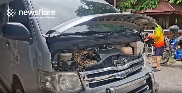 Vừa mở nắp ca-p&ocirc;, người đ&agrave;n &ocirc;ng chết lặng trước cảnh tượng "đ&aacute;ng sợ" b&ecirc;n trong xe- Ảnh 1.
