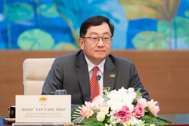 Chủ tịch Quốc hội Trần Thanh Mẫn tiếp Đại sứ Malaysia Tan Yang Thai chào từ biệt - Ảnh 3.