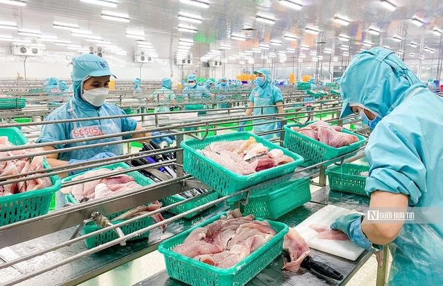 Tập đoàn Sao Mai báo lãi tăng gần 3 lần trong nửa đầu năm 2026 - Ảnh 1.