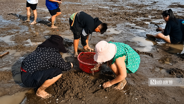 Du khách lấm lem bùn đất, thích thú trải nghiệm cào nghêu - Ảnh 4.