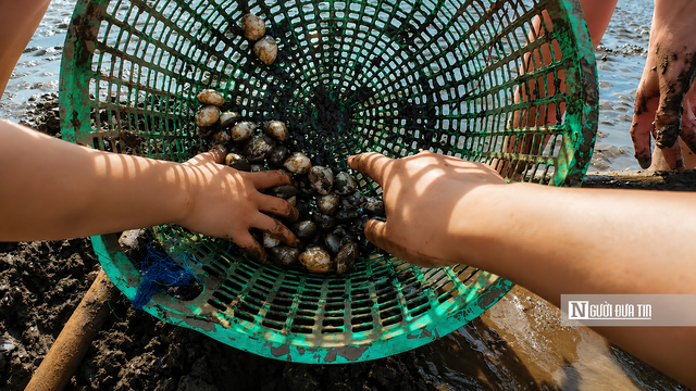 Du khách lấm lem bùn đất, thích thú trải nghiệm cào nghêu - Ảnh 9.