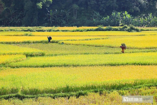 Những người tiên phong tạo sinh kế từ du lịch cộng đồng ở vùng cao Thanh Hóa- Ảnh 4.