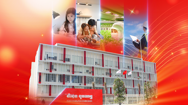 Lợi nhuận sau thuế của Điện Quang giảm gần 58% sau kiểm toán- Ảnh 1.