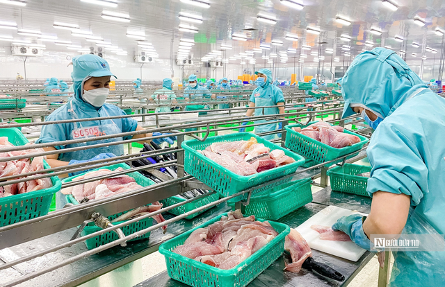 Xuất khẩu cá tra sang Anh tăng 23%, nhu cầu thực phẩm tiện lợi mở thêm dư địa - Ảnh 1.