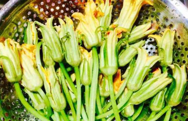 Lý do không nên ăn bông bí, dưa chuột có vị đắng- Ảnh 1.