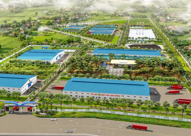 Hình thành trung tâm sản xuất, chế biến nông nghiệp hữu cơ công nghệ cao gần 1.300 tỷ đồng ở Hà Tĩnh- Ảnh 7.