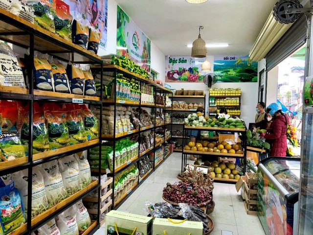 Nông nghiệp Phú Thọ: Chuyển đổi công nghệ, nâng tầm giá trị sản phẩm địa phương- Ảnh 2.